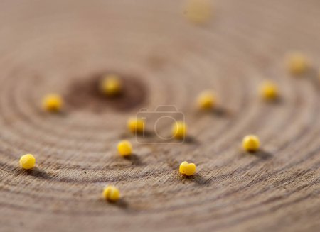 Photo for Images of millets, Asian millets, photos of millets, millet dishes hi res photos - Royalty Free Image