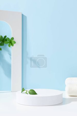 Photo for Product exhibit backgrounds, Product shoot background, Product display backdrops, Product promotion backgrounds - Royalty Free Image