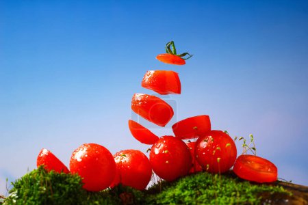 New images of cherry tomatoes, small tomatoes, fresh tomatoes