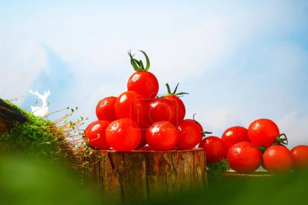 Téléchargez les photos : Nouvelles images de tomates cerises, petites tomates, tomates fraîches - en image libre de droit