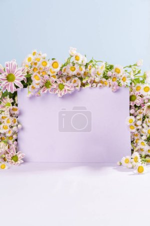 Photo for Beautiful backgrounds for product photo collages, nature background for product display, hi res images - Royalty Free Image