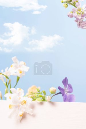 Beautiful backgrounds for product photo collages, nature background for product display, hi res images