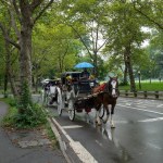 New York, USA - July 20th, 2023: Decorated horses and carriages on a ride with passengers on a rainy day in central park, New York.