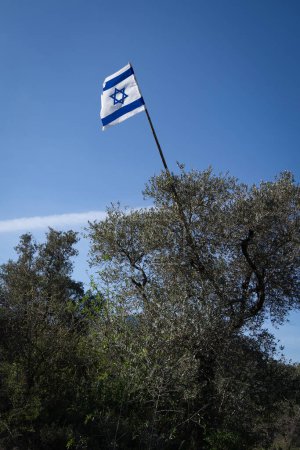 Eine israelische Flagge auf einem Olivenbaum im Judäa-Gebirge in der Nähe von Jerusalem, Israel.