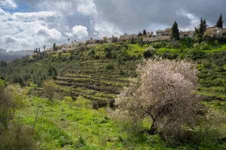 Landwirtschaftliche Terrassen, blühende Mandelbäume und Wildblumen an den grünen Hängen des Judäa-Gebirges mit Blick auf Jerusalem an einem bewölkten Frühlingstag.