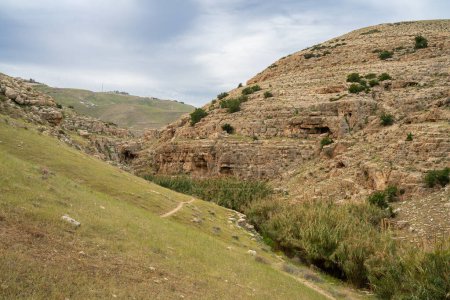 Saftiges Schilf säumt den Weg des Prat-Baches in den Hügeln der Wüste Judäa, der am Ende des Winters mit viel Grün bedeckt ist. Höhlen sind in den Klippen sichtbar, die sich über dem Bach erheben.