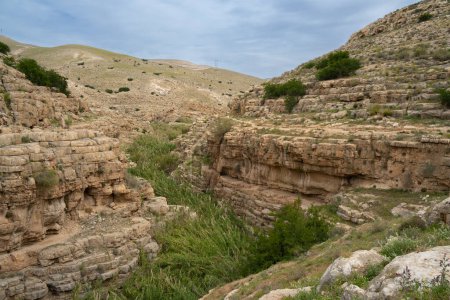 Eine Landschaft aus Klippen und Höhlen am Ufer des Flusses Prat in den Hügeln der Wüste Judäa, Israel.