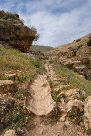 Un antiguo acueducto romano en la orilla del arroyo Prat en las montañas de Judea, Israel, en un soleado día de primavera.
