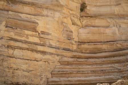 Una formación de roca caliza en capas en el cañón de Ein Avdat, el desierto del Negev, Israel.