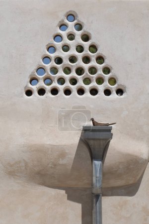 Una paloma sonriente anidando en una alcantarilla de agua de lluvia bajo un kizan, un arreglo triangular de tuberías de arcilla hechas para mantener el flujo de aire y la privacidad en casas árabes.