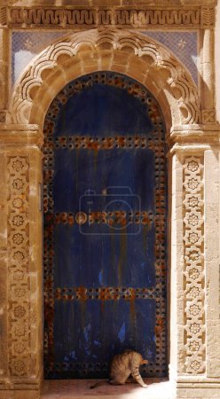 Foto de Gato frente a puerta azul con envolvente ornamentado, Essaouira, Marruecos. Foto de alta calidad - Imagen libre de derechos