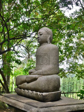 Téléchargez les photos : Statue de Bouddha, Temple Mulkirigala Rock, Tangale, Sri Lanka. Photo de haute qualité - en image libre de droit