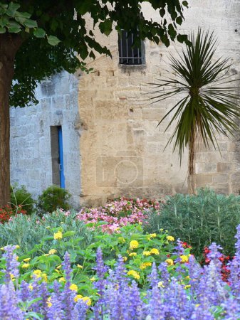 Garten voller bunter Bäume und Blumen im Espace Van Gogh in der französischen Stadt Arles, Departement Bouches-du-Rhone in der Provence. Hochwertiges Foto