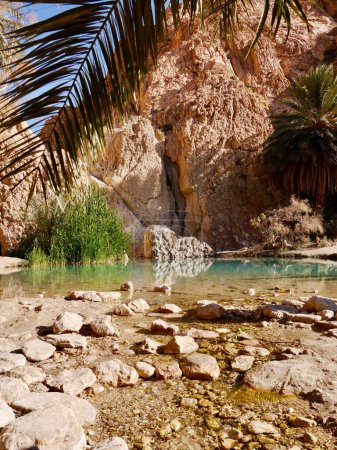 Primer plano de idílico, tropical, oasis de montaña, Túnez. Foto de alta calidad