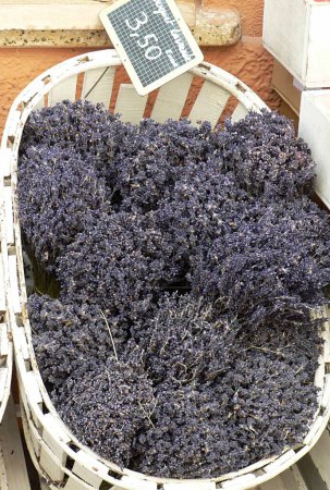 Close up of white basket of lavender, Arles, France. High quality photo