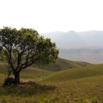 Panoramic view of rolling green hills of the Rainbow Gorge trail, Winterton, South Africa with ample copy space. High quality photo