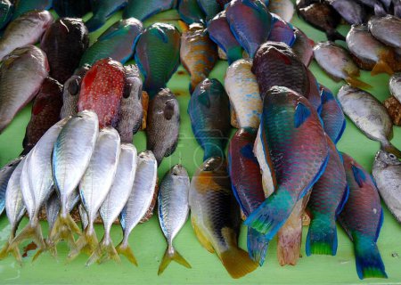 Primer plano de peces vibrantemente coloridos en el puesto del mercado, Kupang, Indonesia. Foto de alta calidad