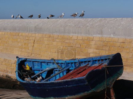Blaues Fischerboot im Hafen mit Möwen, Essaouira, Marokko. Hochwertiges Foto