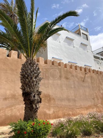 Foto de Vista de las murallas con palmera, Marrakech, Marruecos. Foto de alta calidad - Imagen libre de derechos
