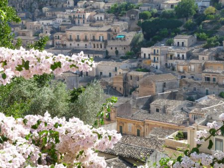 Hermosa vista sobre los tejados de Modica, Sicilia, enmarcado por la flor rosa. Foto de alta calidad