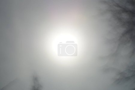 Téléchargez les photos : Soleil au printemps. Tourné sur Sony A5000 et Helios-103 1.8 / 53 - en image libre de droit