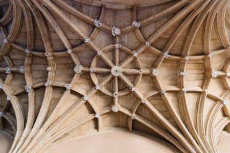 Téléchargez les photos : Directement en dessous de la vue de la voûte nervurée en pierre dans le monument de style Renaissance - en image libre de droit