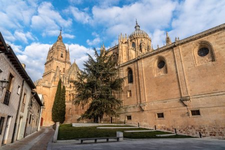 Téléchargez les photos : Vue panoramique sur la cathédrale de Salamanque. Castilla Leon, Espagne. - en image libre de droit