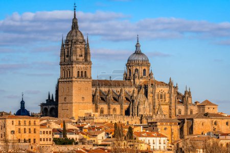 Téléchargez les photos : Vue panoramique sur la cathédrale de Salamanque. Castilla Leon, Espagne. - en image libre de droit
