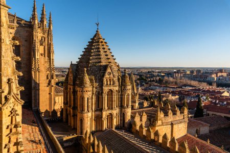 Téléchargez les photos : Exterior view of the dome of the Old Cathedral of Salamanca a blue sky day. Castilla y Leon, Spain - en image libre de droit