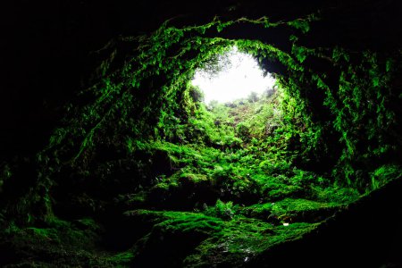 Téléchargez les photos : Algar do Carvao ou Caverne du Charbon à Terceira Island, Açores, Portugal. C'est un ancien tube de lave ou évent volcanique situé dans la partie centrale de l'île de Terceira dans l'archipel portugais - en image libre de droit