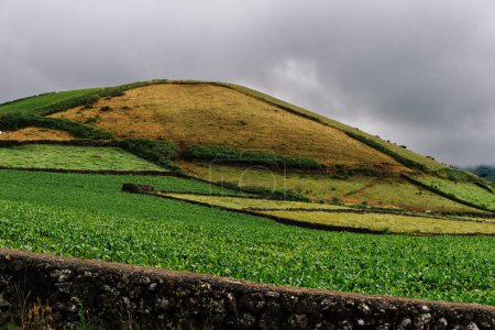 Foto de Antiguo volcán rodeado de tierras de cultivo parceladas para la agricultura en colores verdes vibrantes. Nublado día de verano. Isla Terceira, Azores, Portugal. - Imagen libre de derechos