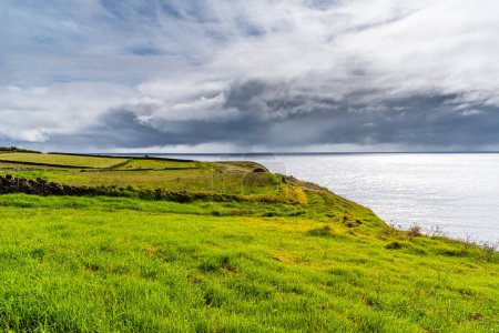 Foto de Vibrante prado de hierba verde junto al océano en la isla de Terceira un día dramático de verano. Azores, Portugal - Imagen libre de derechos