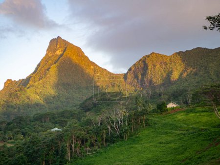 Île de Tahiti paysage naturel, Polynésie française
