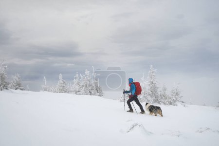 Téléchargez les photos : Homme randonnée avec chien ami berger australien sur neige hiver montagnes - en image libre de droit