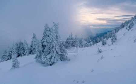 Téléchargez les photos : Silence nature hivernale sauvage. Les collines de montagne sont couvertes de neige au coucher du soleil. Paysage avec un beau ciel bleu - en image libre de droit