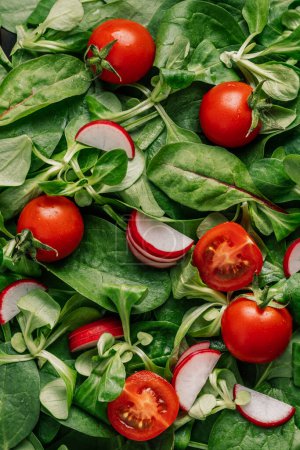Téléchargez les photos : Salade verte fraîche et colorée Ingrédients - Vue du dessus des feuilles d'épinards et de la tomate - en image libre de droit
