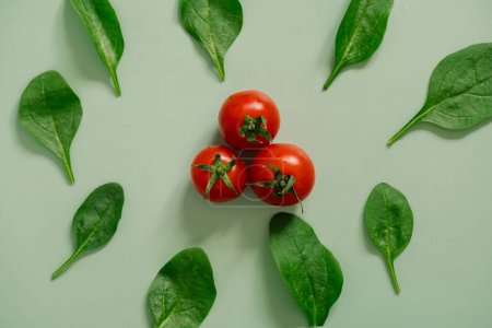 Téléchargez les photos : Vue du dessus de la salade verte fraîche et colorée Ingrédients - feuilles d'épinards et tomates - en image libre de droit
