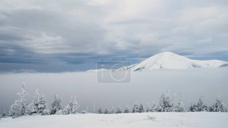 Téléchargez les photos : Chaîne de montagnes d'hiver et sommet de Petros neige épaisse, Carpates, Ukraine - en image libre de droit