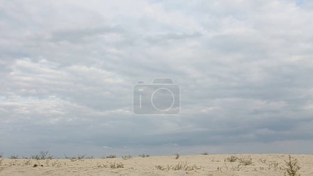 Pies de mujer en las arenas del desierto. pies femeninos caminando sobre la arena.