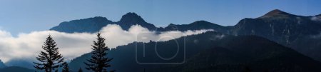 Foto de Montaña vista bosque paisaje Polonia Zakopane - Imagen libre de derechos