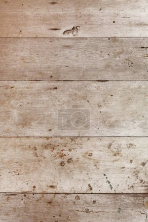 Photo for Close up of wooden texture for background - Royalty Free Image