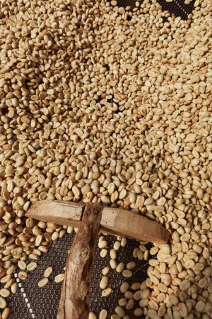 Téléchargez les photos : Gros plan des grains de café pour le fond - en image libre de droit