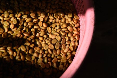 Téléchargez les photos : Grains de café, Dans la méthode de fermentation et de lavage du traitement humide - en image libre de droit