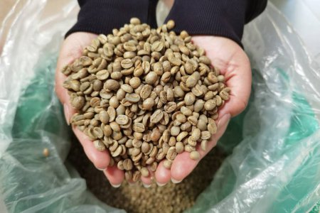 Téléchargez les photos : Grains de café séchés à la main - en image libre de droit