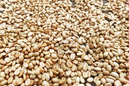 Téléchargez les photos : Gros plan des grains de café pour le fond - en image libre de droit
