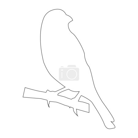 Téléchargez les illustrations : Gouldian pinch oiseau icône vectoriel illustration design - en licence libre de droit
