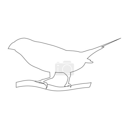 Téléchargez les illustrations : Gouldian pinch oiseau icône vectoriel illustration design - en licence libre de droit