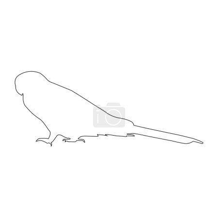 Téléchargez les illustrations : Perruche oiseau icône vektor illustration design - en licence libre de droit