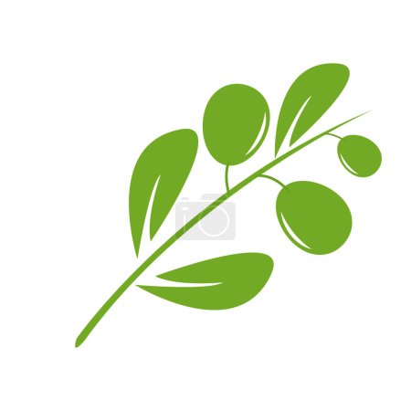 Téléchargez les illustrations : Modèle de logo olive conception vectorielle - en licence libre de droit