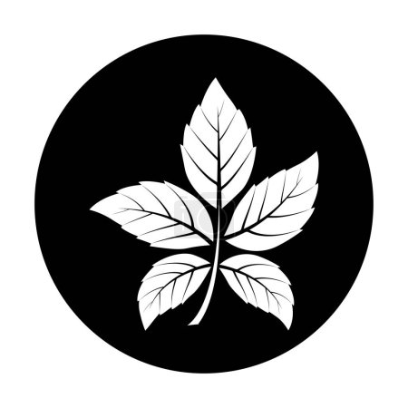 leaf logo vector illustration design